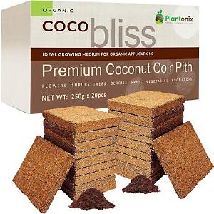 Coco Bliss - Bloginfo