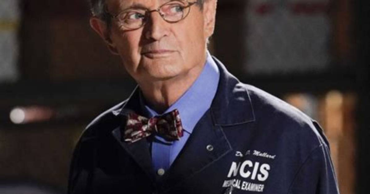 The Fate of Ducky from Ncis: Is He Still Alive?